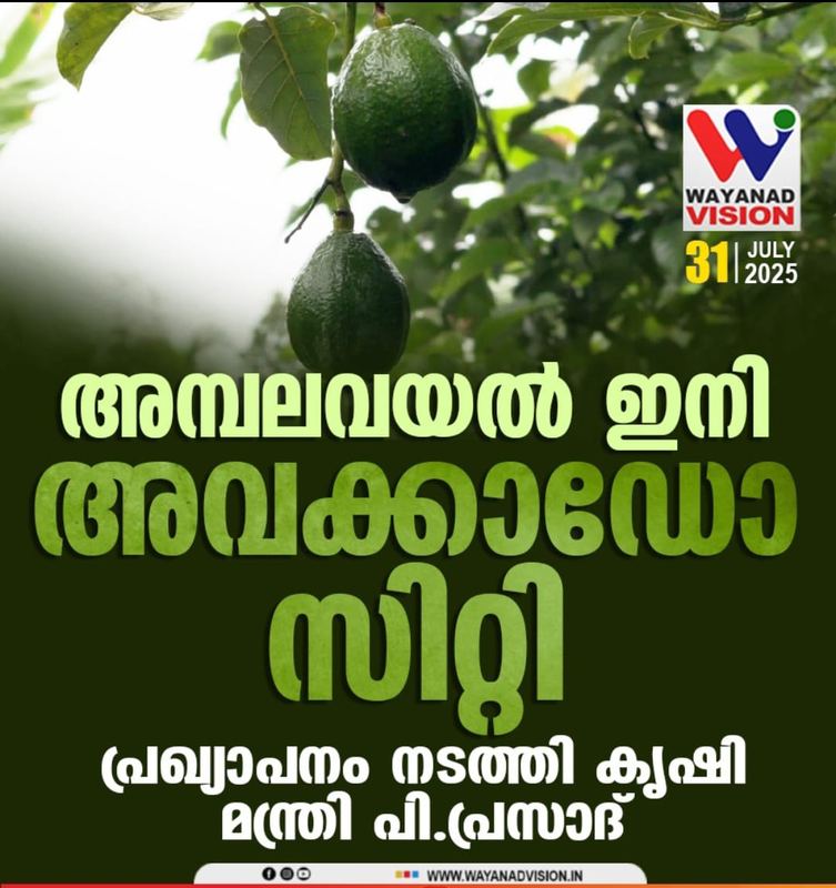 Wayanad Vision