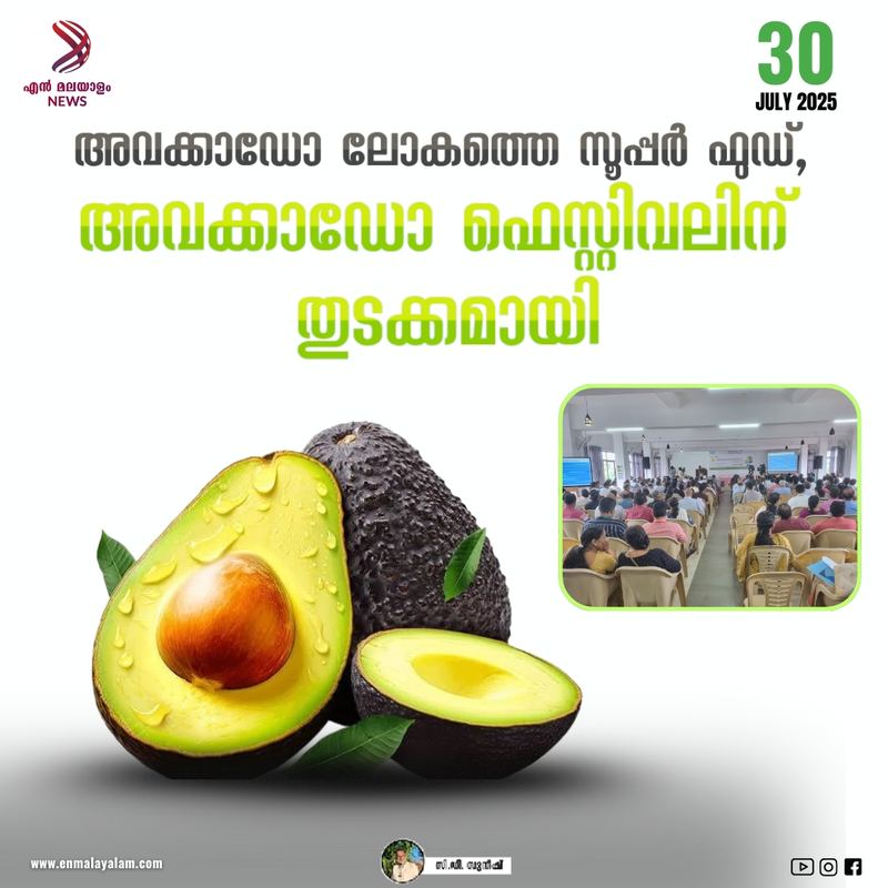Official AvocadoFest 2025 poster