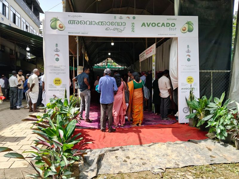 At the entrance