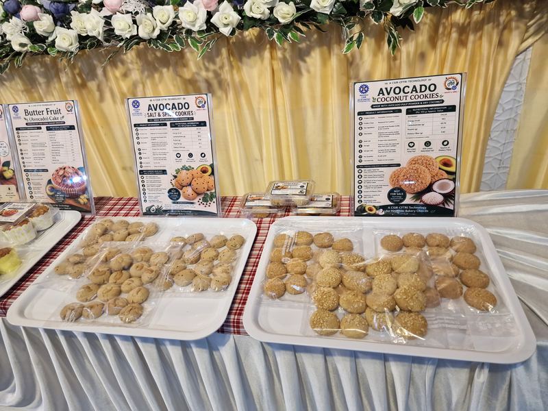 Avocado cookies