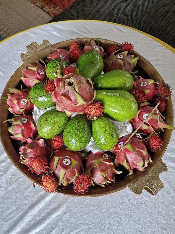 Wayanad's exotic fruit basket