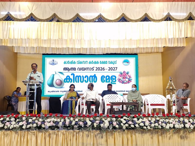 A WHFPCL director speaks