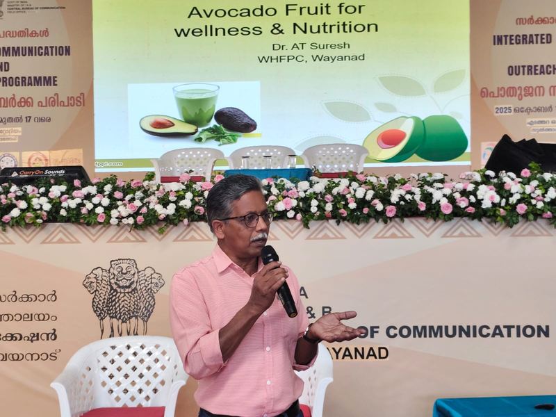 Avocado fruit for wellness & nutrition