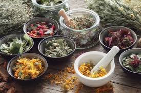 Medicinal Herbs